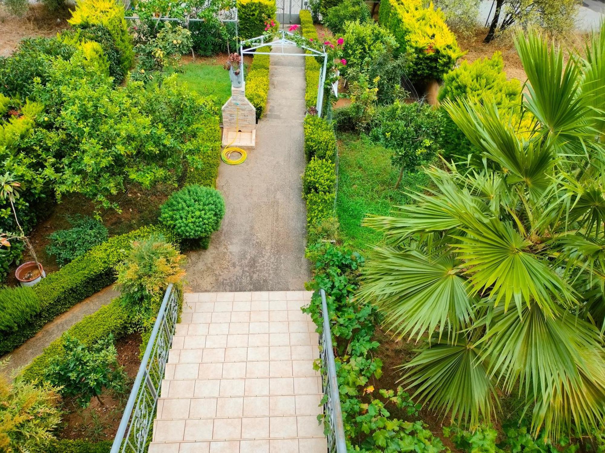 House With Wonderful View Apartment Lefkandi Chalkidas Bagian luar foto